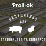 Prolisok1.jpg